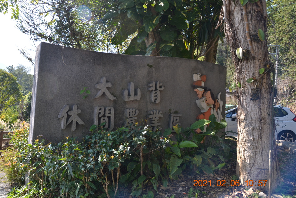DSC_0003.JPG DSC_0003.JPG