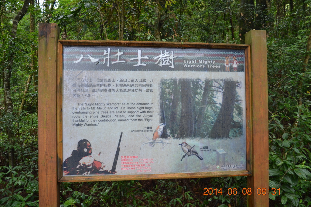 DSC_0010.JPG DSC_0010.JPG