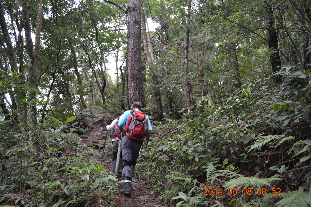 DSC_0013.JPG DSC_0013.JPG