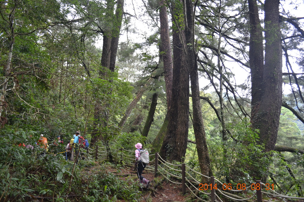 DSC_0009.JPG DSC_0009.JPG