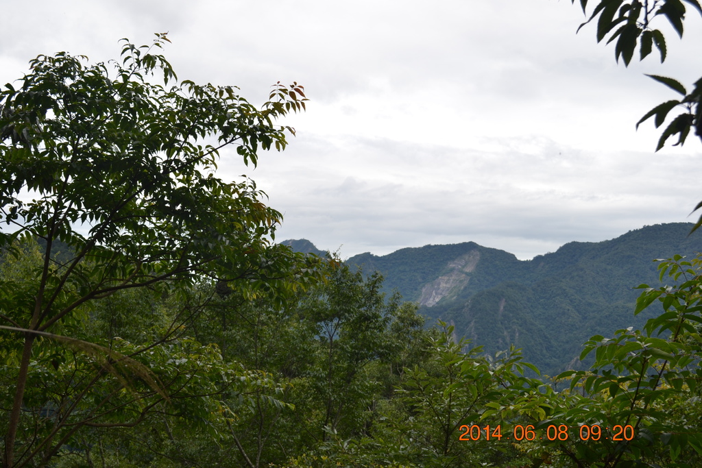 DSC_0016.JPG DSC_0016.JPG