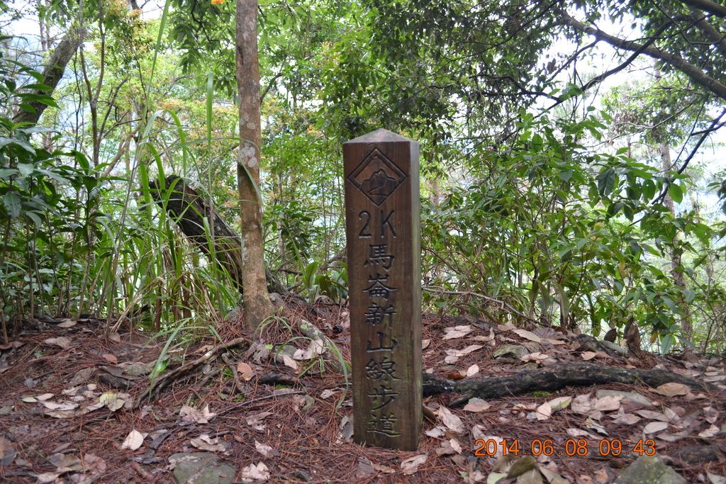 DSC_0019.JPG DSC_0019.JPG
