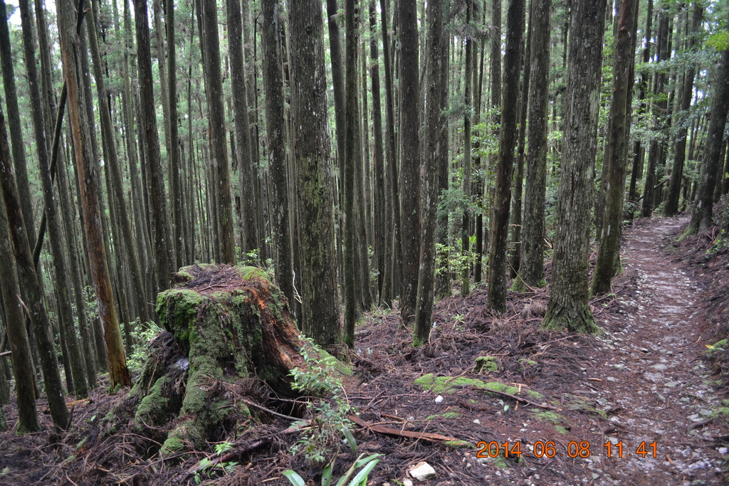 DSC_0044.JPG DSC_0044.JPG