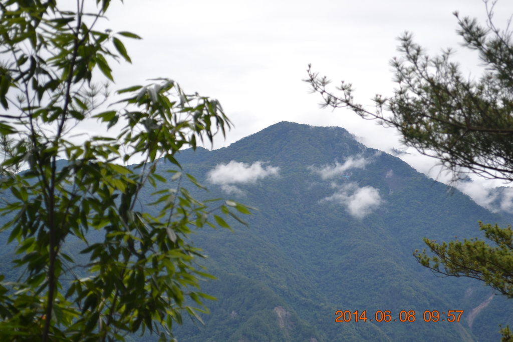 DSC_0031.JPG DSC_0031.JPG