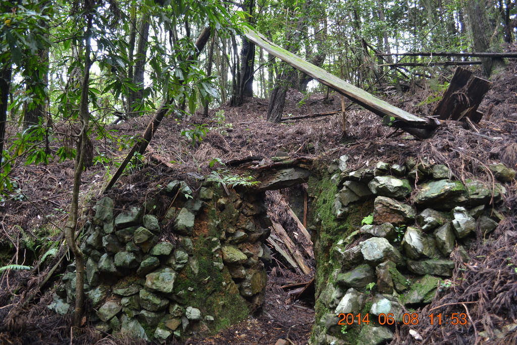 DSC_0055.JPG DSC_0055.JPG