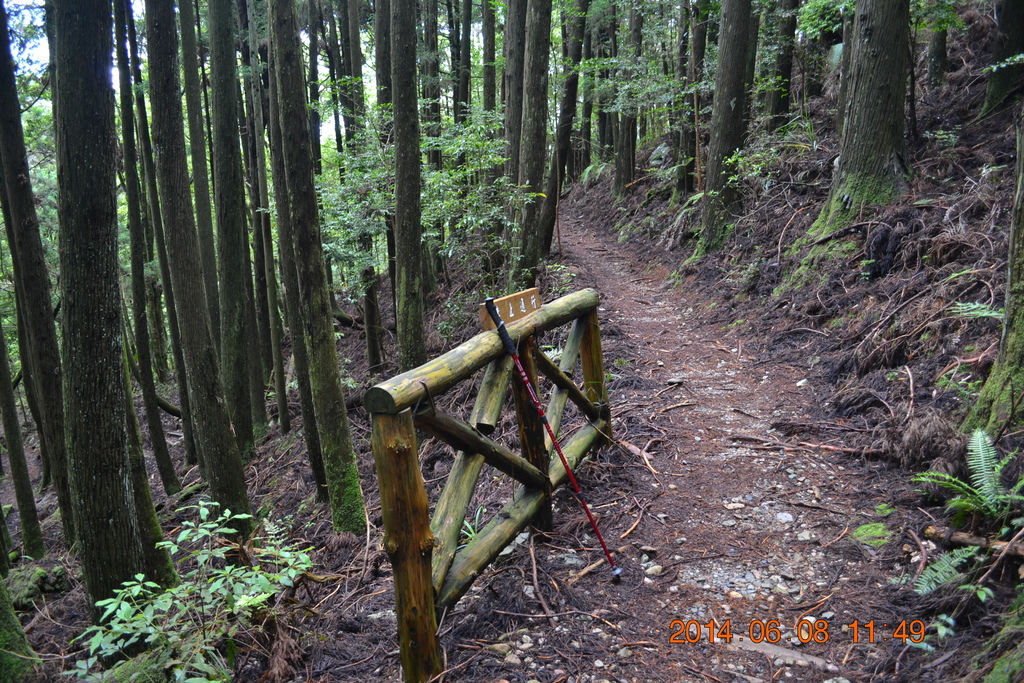 DSC_0051.JPG DSC_0051.JPG