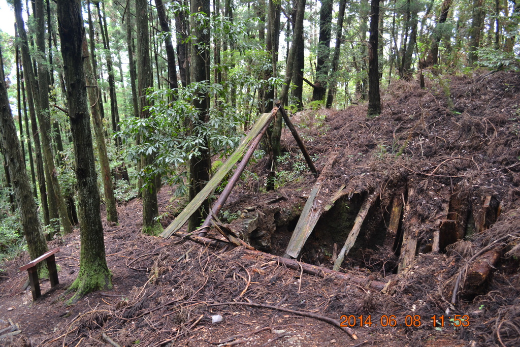 DSC_0056.JPG DSC_0056.JPG