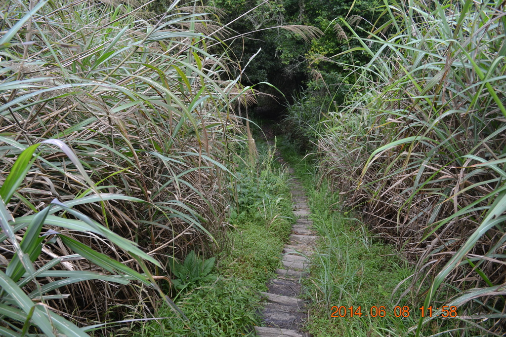DSC_0058.JPG DSC_0058.JPG