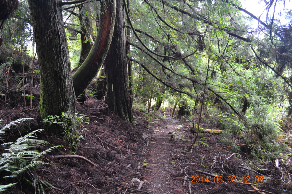 DSC_0068.JPG DSC_0068.JPG