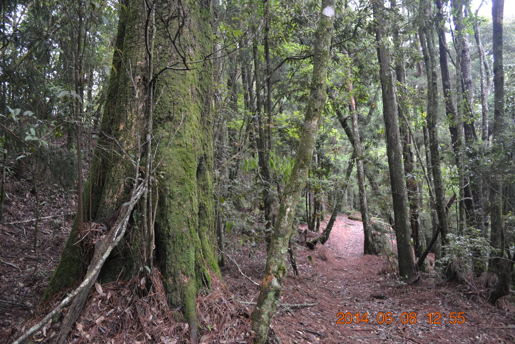 DSC_0100.JPG DSC_0100.JPG
