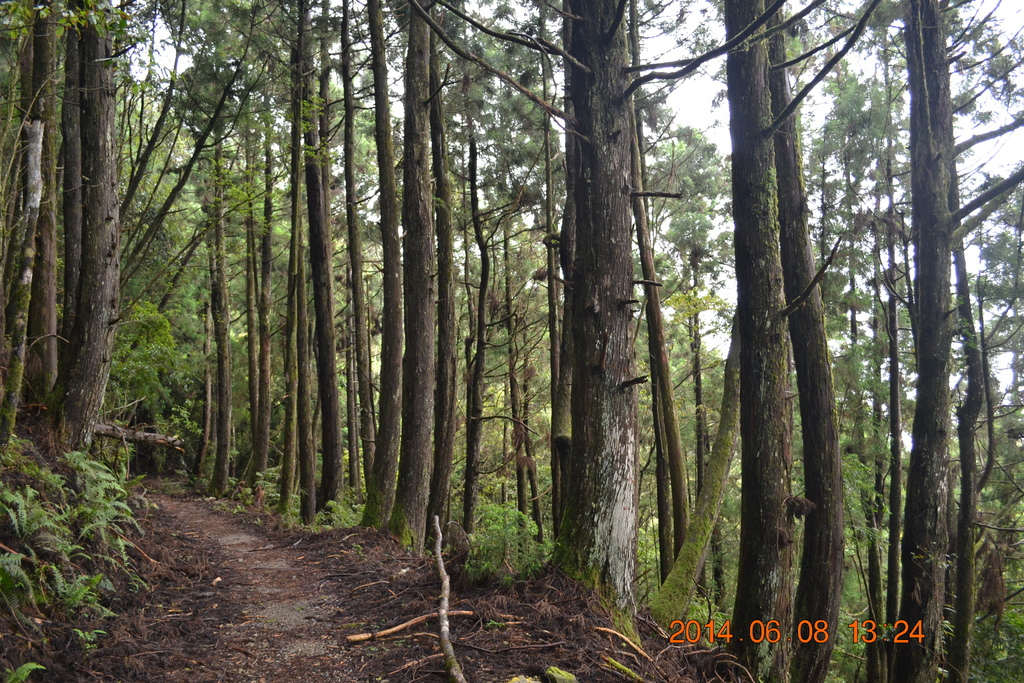 DSC_0111.JPG DSC_0111.JPG