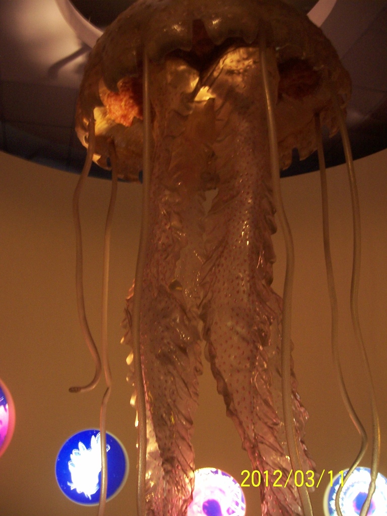 101.3.11台中科博館 072.jpg 101.3.11台中科博館 072.jpg
