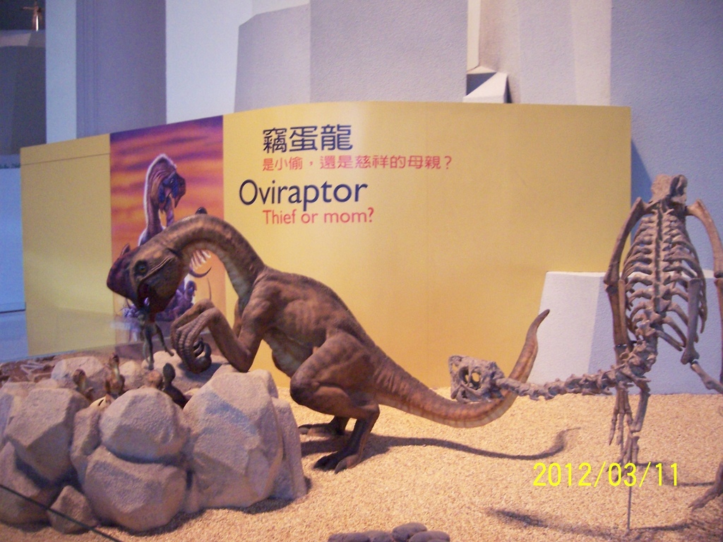 101.3.11台中科博館 086.jpg 101.3.11台中科博館 086.jpg