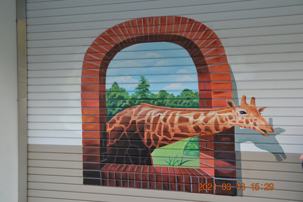 DSC_0313.JPG DSC_0313.JPG