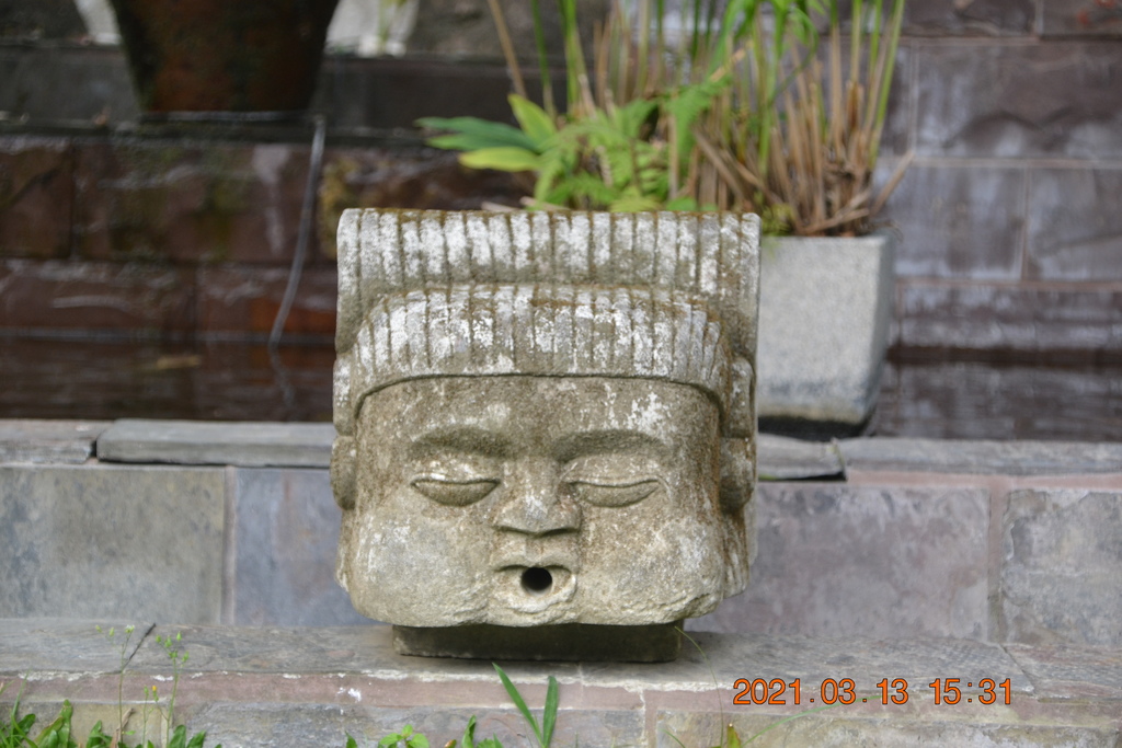 DSC_0321.JPG DSC_0321.JPG