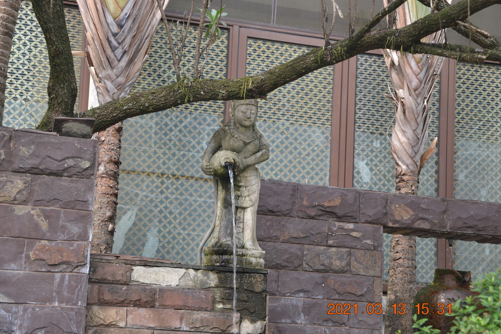 DSC_0320.JPG DSC_0320.JPG