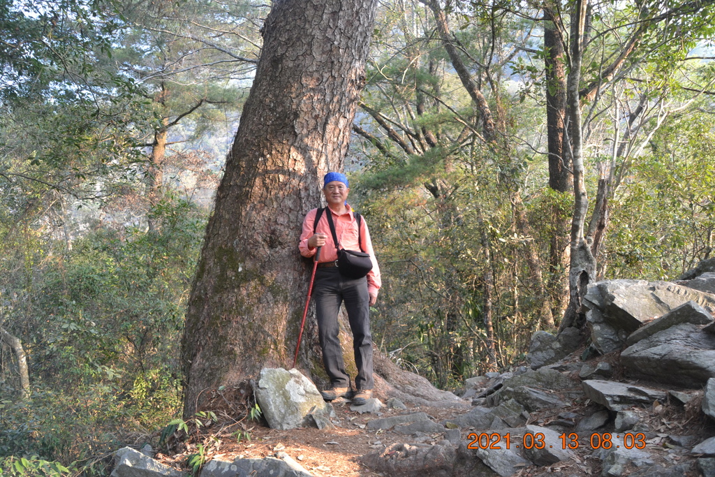 DSC_0042.JPG DSC_0042.JPG