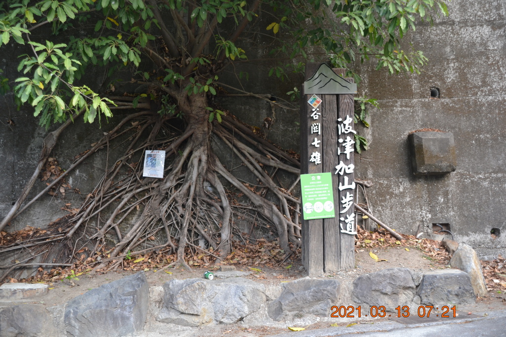 DSC_0003.JPG DSC_0003.JPG