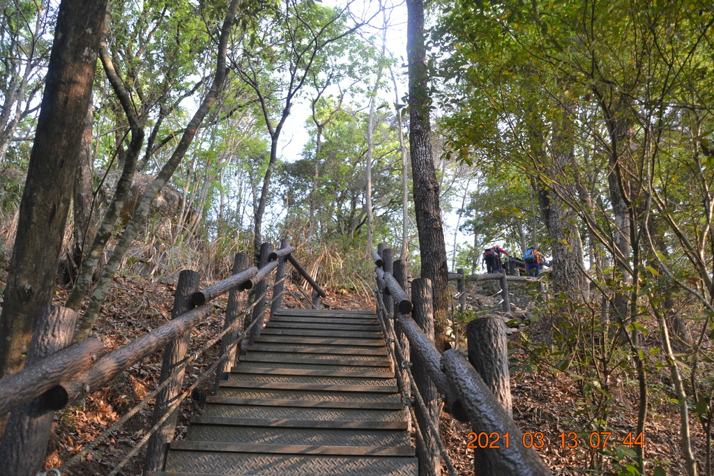 DSC_0019.JPG DSC_0019.JPG