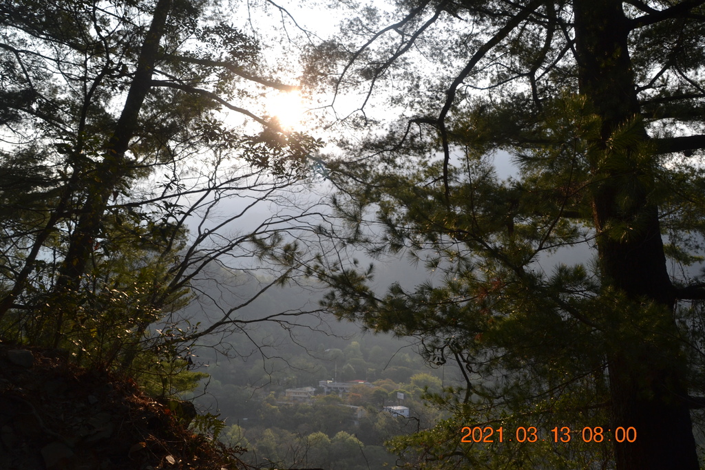 DSC_0036.JPG DSC_0036.JPG