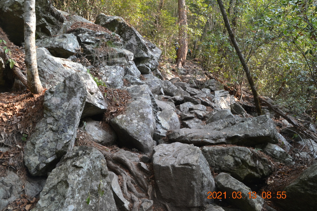 DSC_0073.JPG DSC_0073.JPG