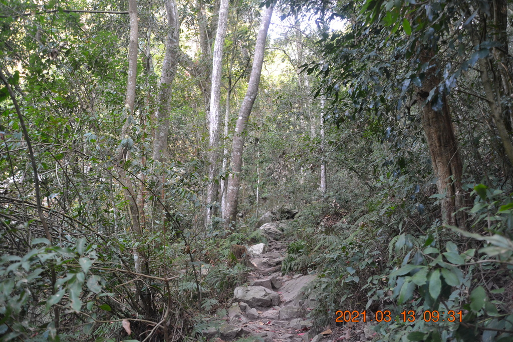 DSC_0084.JPG DSC_0084.JPG