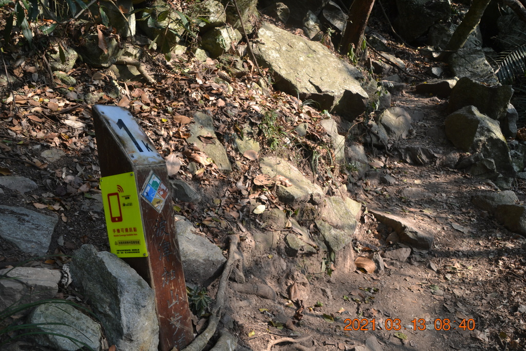 DSC_0062.JPG DSC_0062.JPG