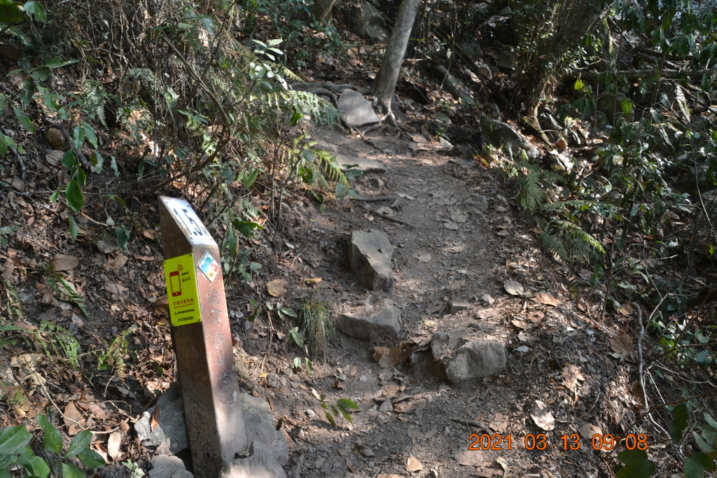 DSC_0076.JPG DSC_0076.JPG
