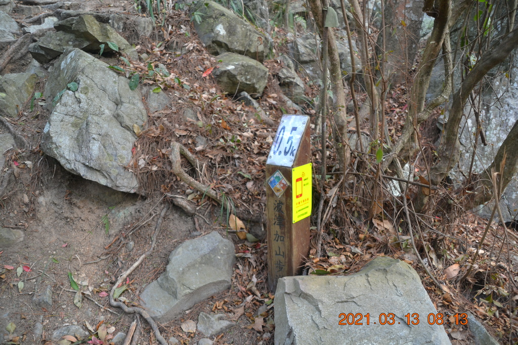 DSC_0049.JPG DSC_0049.JPG