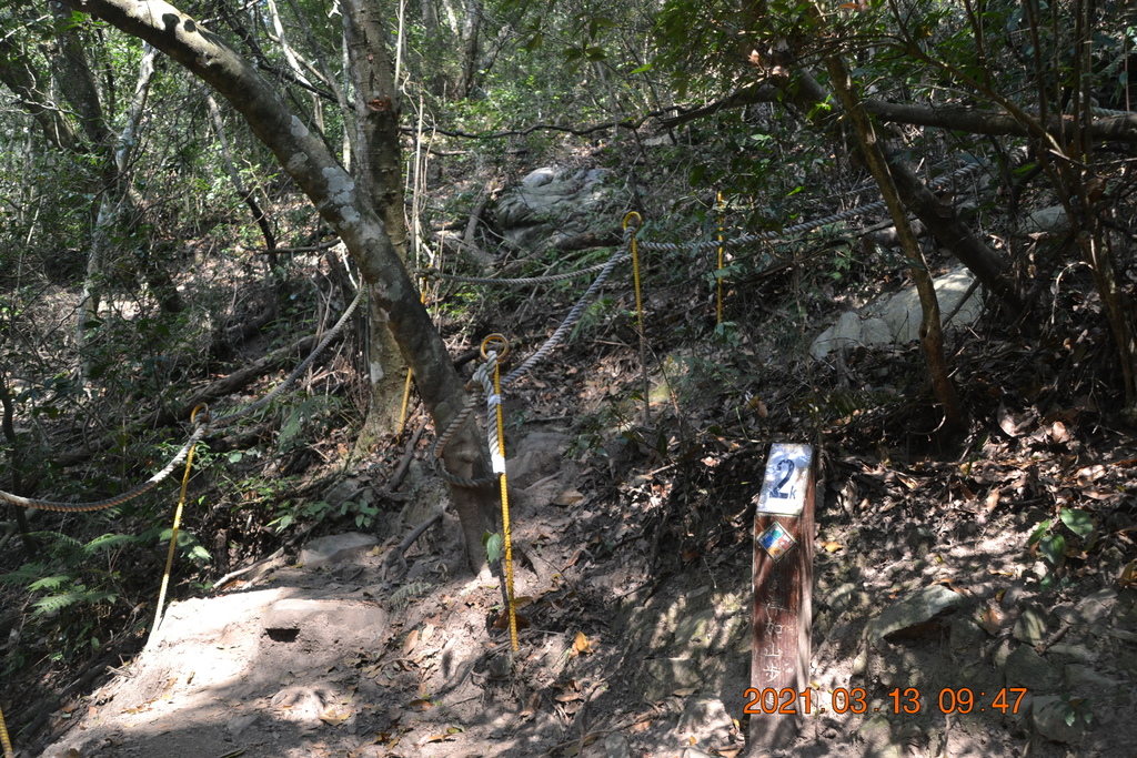 DSC_0093.JPG DSC_0093.JPG