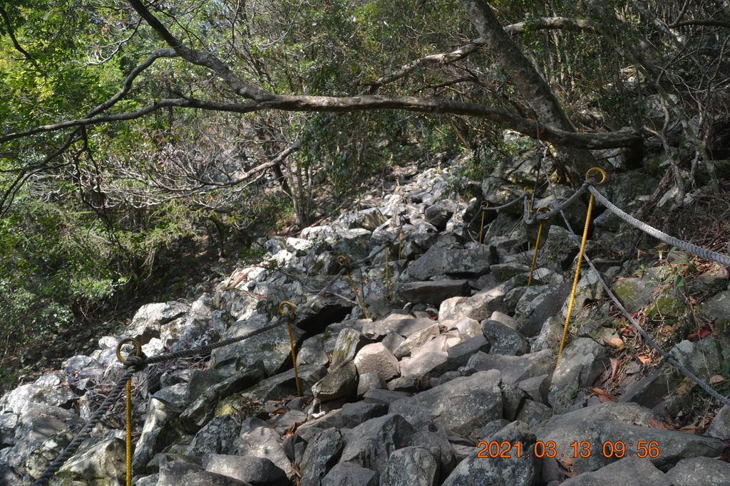 DSC_0102.JPG DSC_0102.JPG