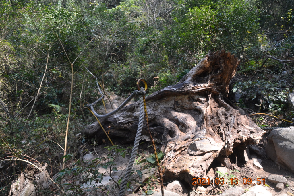 DSC_0097.JPG DSC_0097.JPG