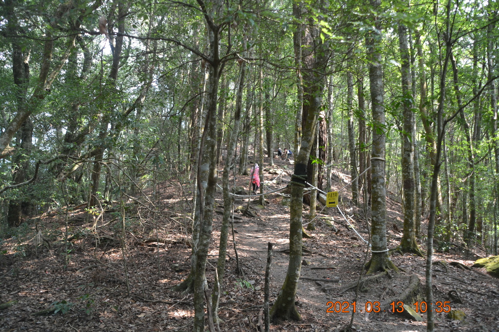 DSC_0127.JPG DSC_0127.JPG