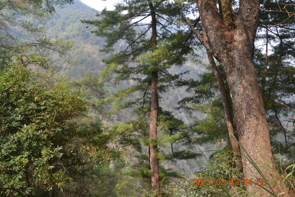 DSC_0262.JPG DSC_0262.JPG