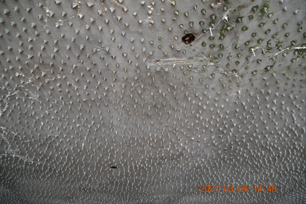 DSC_0393.JPG DSC_0393.JPG