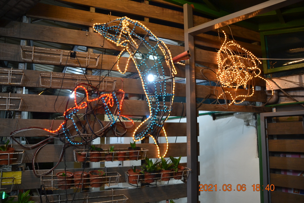 DSC_0480.JPG DSC_0480.JPG