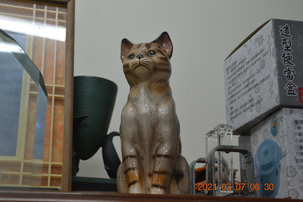 DSC_0497.JPG DSC_0497.JPG