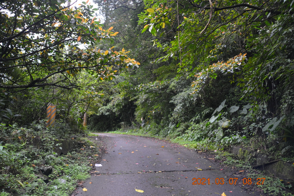 DSC_0517.JPG DSC_0517.JPG