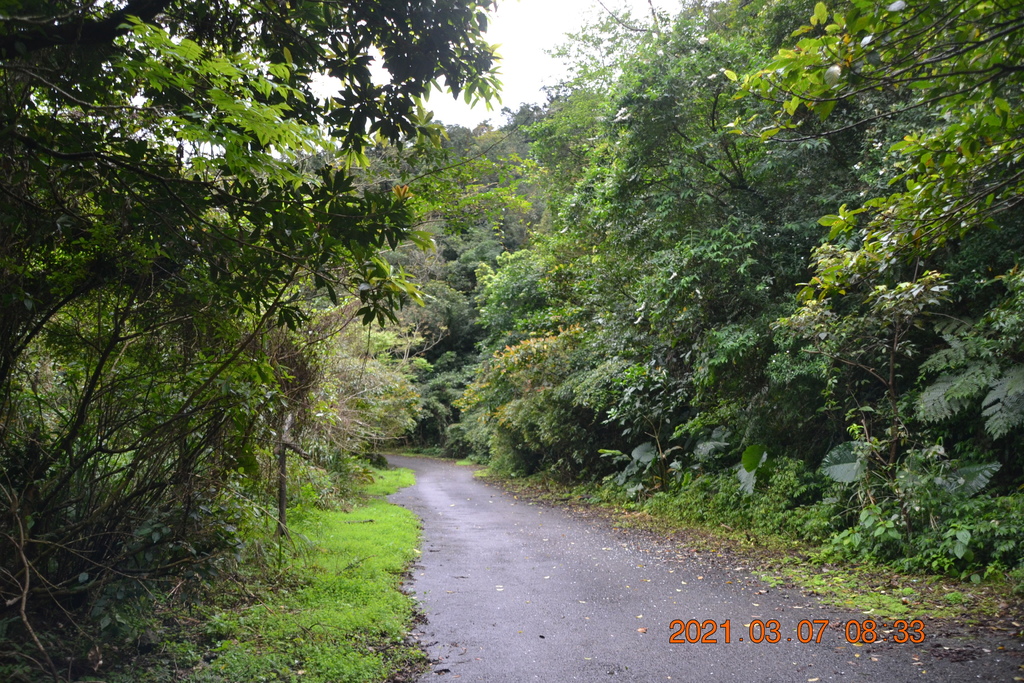 DSC_0520.JPG DSC_0520.JPG