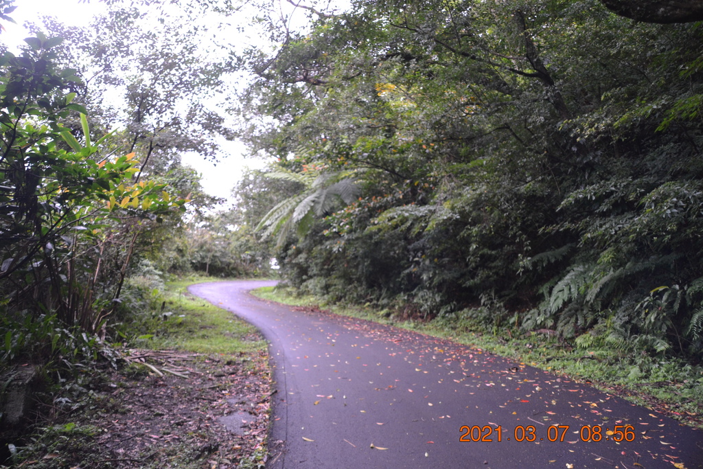 DSC_0534.JPG DSC_0534.JPG