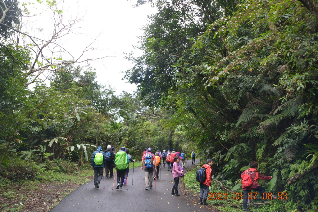 DSC_0528.JPG DSC_0528.JPG