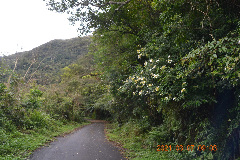 DSC_0536.JPG DSC_0536.JPG