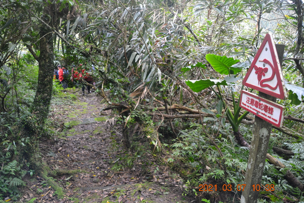 DSC_0611.JPG DSC_0611.JPG