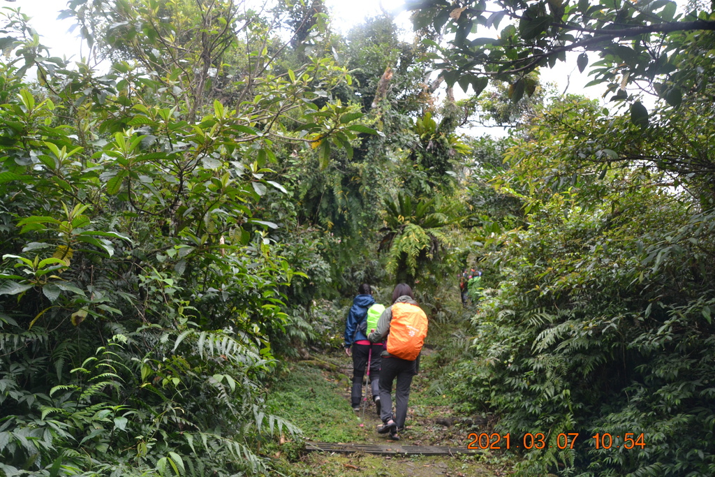 DSC_0623.JPG DSC_0623.JPG