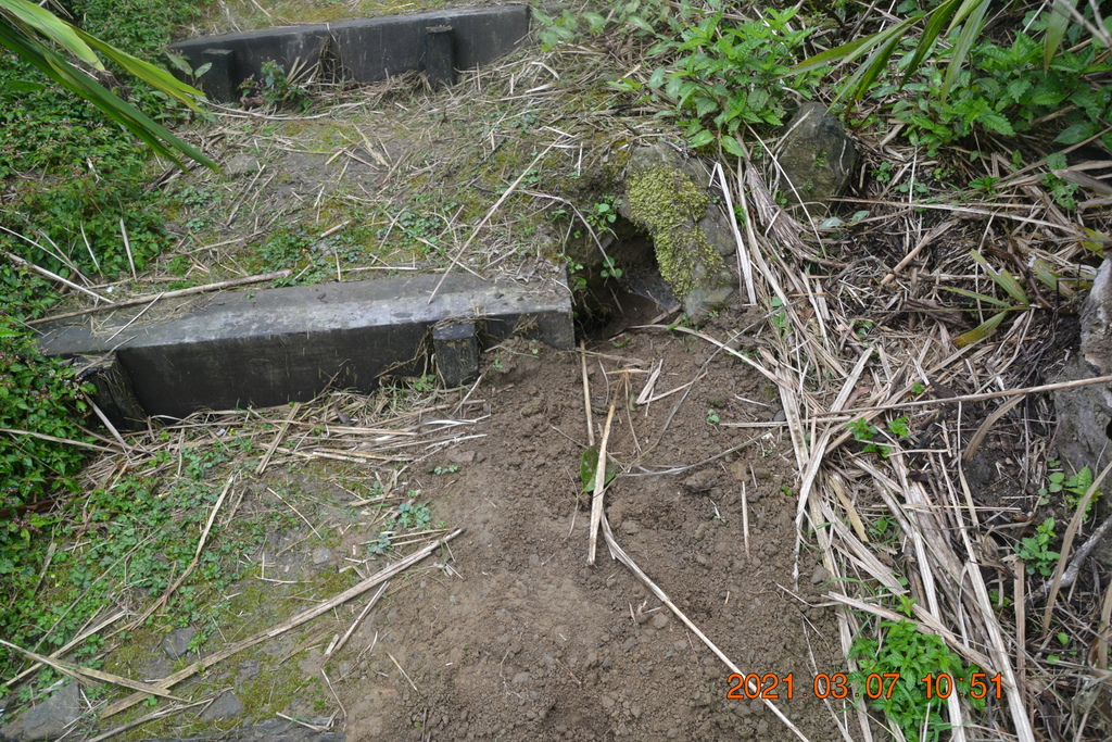 DSC_0621.JPG DSC_0621.JPG