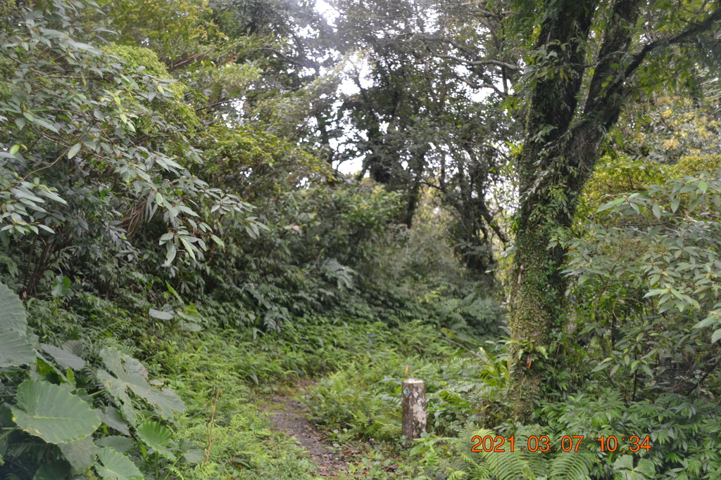 DSC_0605.JPG DSC_0605.JPG