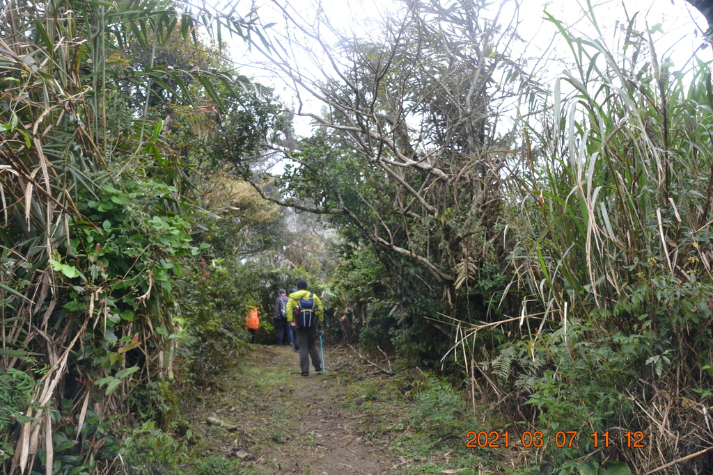 DSC_0638.JPG DSC_0638.JPG