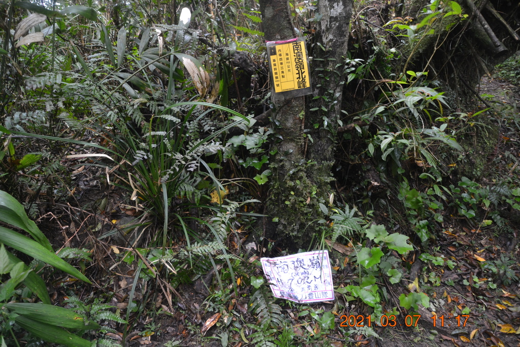 DSC_0643.JPG DSC_0643.JPG