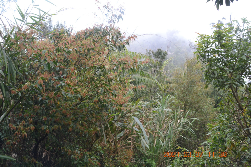 DSC_0650.JPG DSC_0650.JPG