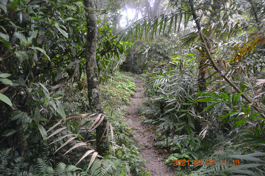 DSC_0646.JPG DSC_0646.JPG